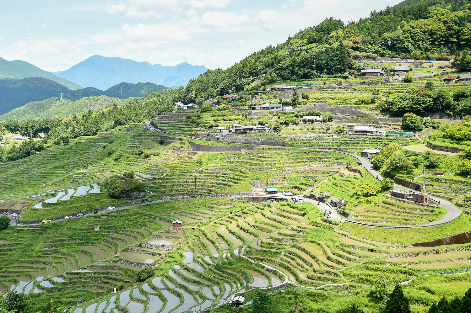 TOUR de KUMANO 2023   1 St.
