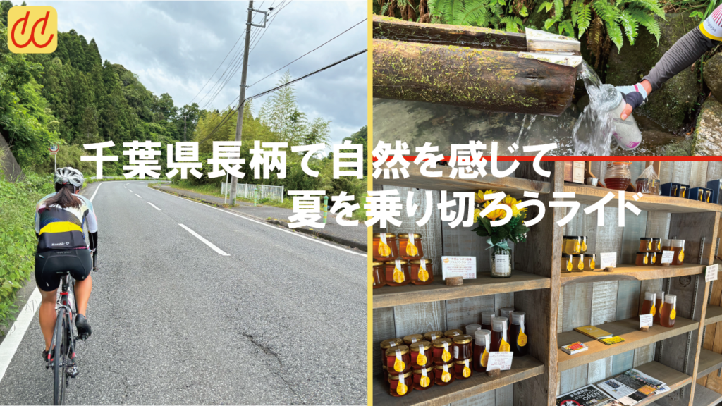 2024年7月21日(日)千葉にてブルーベリー狩りライドを開催します!